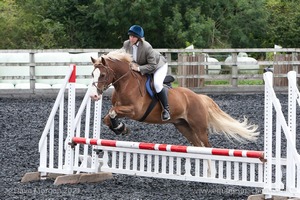 Class 5 - Fences not above 2'6